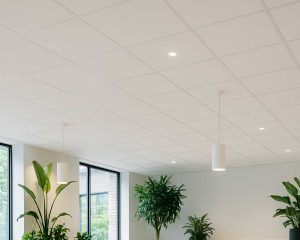 ceiling tiles